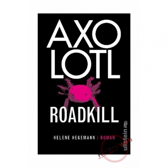 Obrázok Axolotl Roadkill