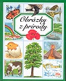 Obrázok Obrázky z prírody