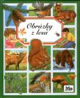 Obrázok Obrázky z lesa