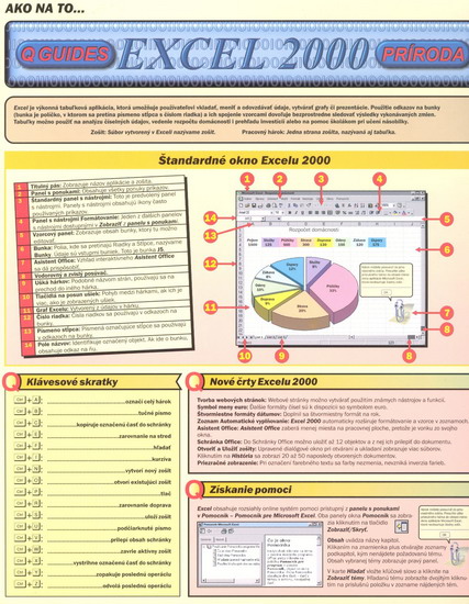 Obrázok Excel 2000 karta