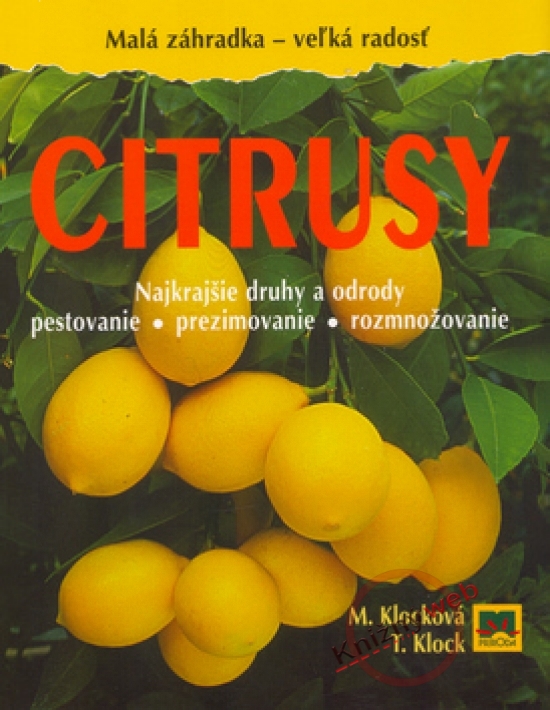 Obrázok Citrusy