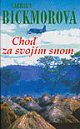 Obrázok Choď za svojím snom