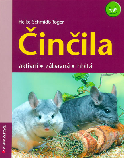 Obrázok Činčila - aktivní,zábavná,hbitá