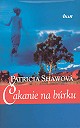 Obrázok Čakanie na búrku
