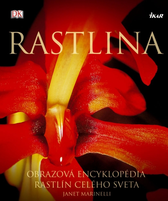 Obrázok Rastlina