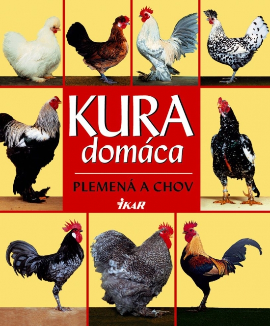 Obrázok Kura domáca - plemená a chov