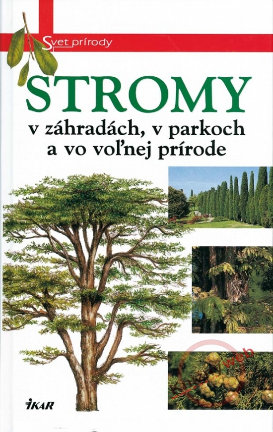 Obrázok Stromy - Svet prírody