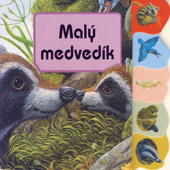 Obrázok Malý medvedík