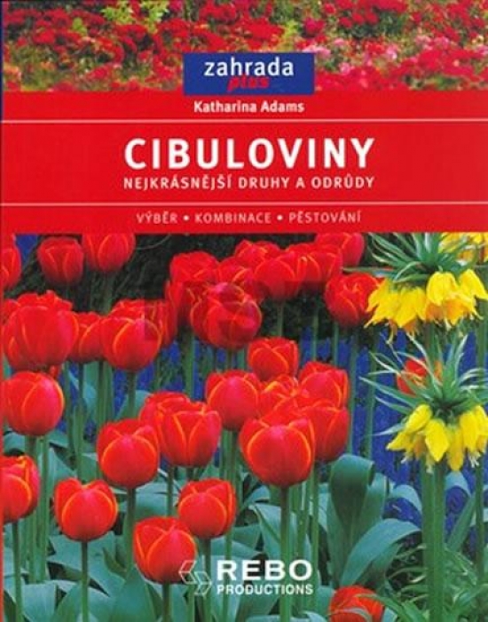 Obrázok Cibuloviny- zahrada plus