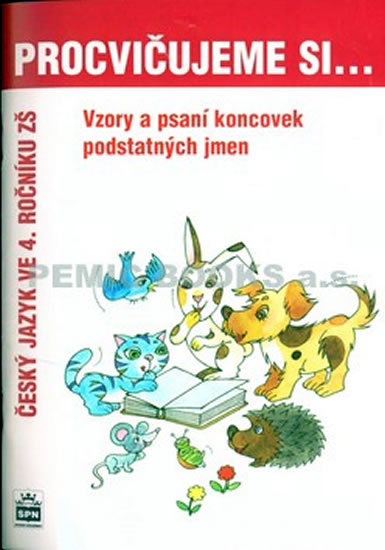 Obrázok Procvičujeme si...Vzory podstatných jmen a psaní jejich koncovek (4.ročník)