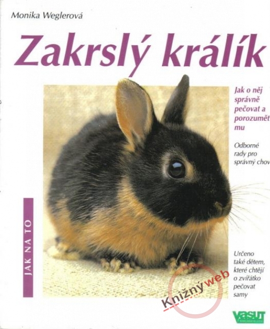 Obrázok Zakrslý králík - Jak na to