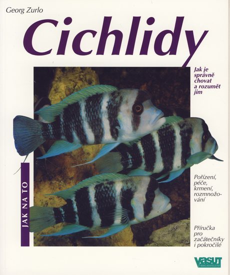 Obrázok Cichlidy - Jak na to