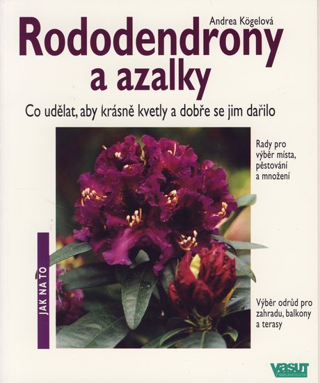 Obrázok Rododendrony a azalky - Jak na to