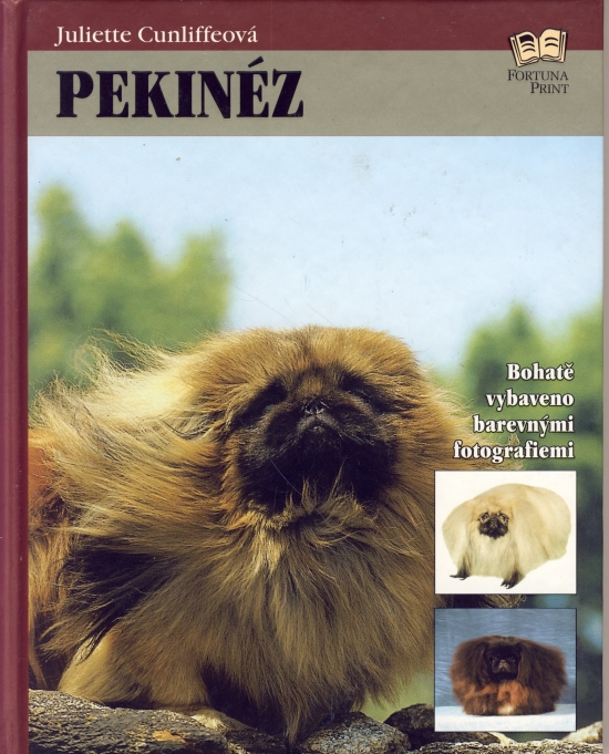 Obrázok Pekinéz /čes/