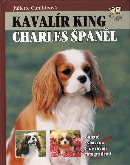 Obrázok Kavalír king Charles španěl