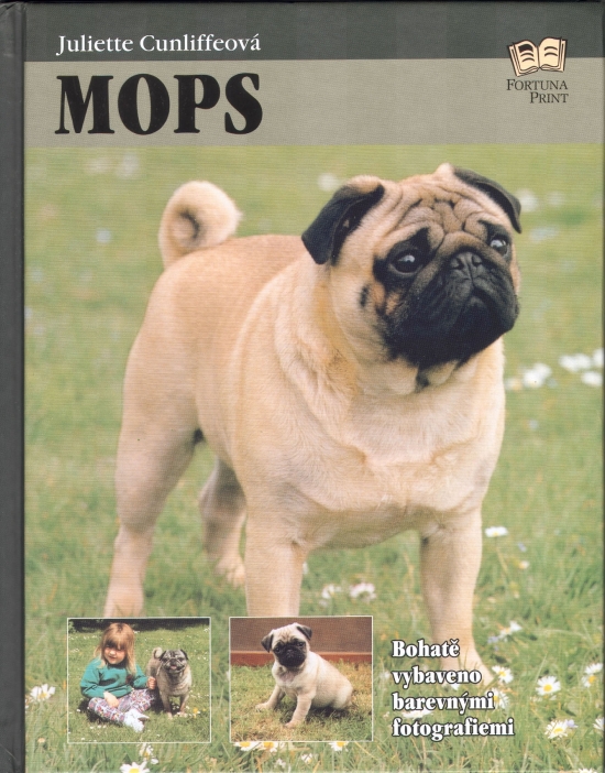 Obrázok Mops