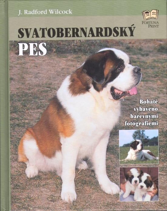 Obrázok Svatobernardský pes