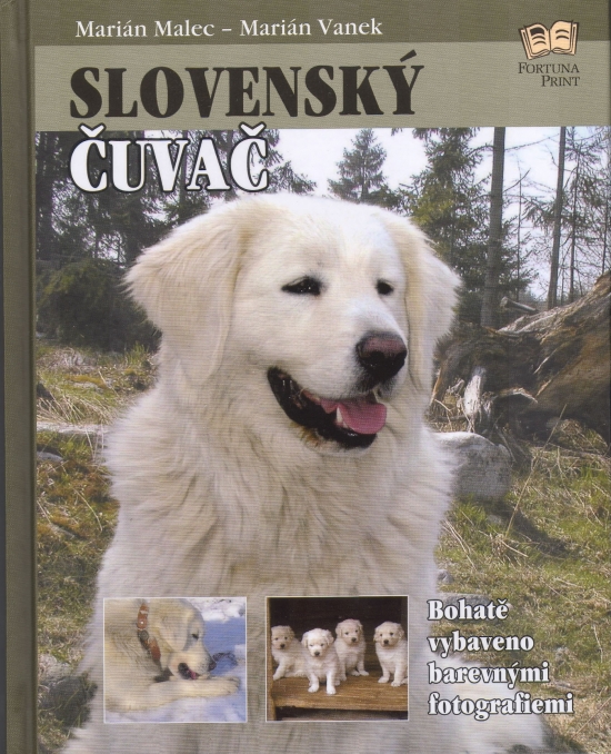 Obrázok Slovenský čuvač