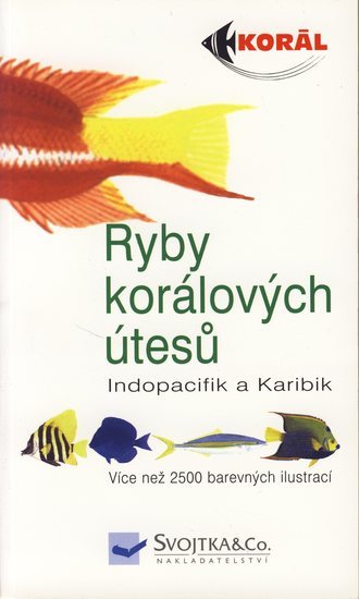 Obrázok Ryby koralových útesů