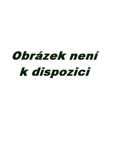Obrázok Vesmírná loď