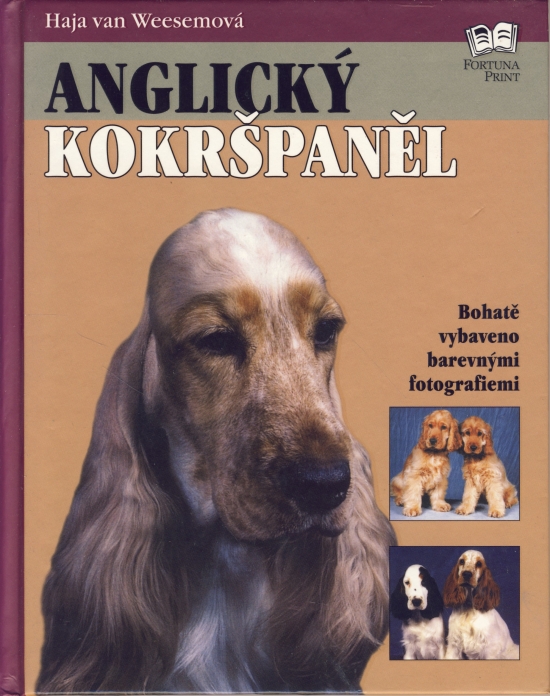 Obrázok Anglický kokršpaněl