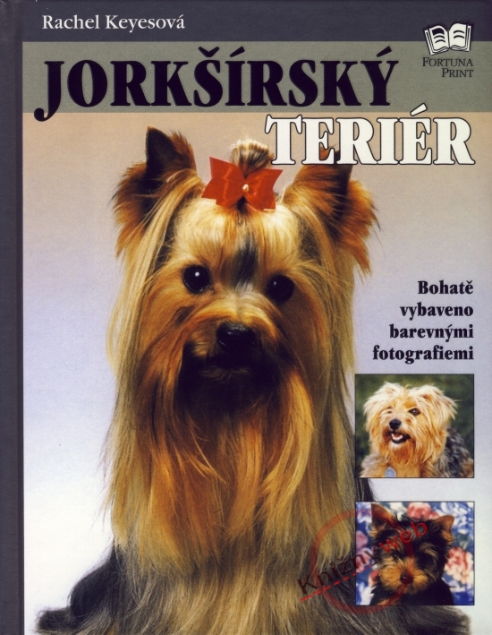 Obrázok Jorkšírský teriér