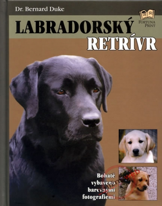 Obrázok Labradorský retrívr