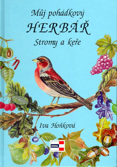 Obrázok Můj pohádkový herbář - Stromy a keře