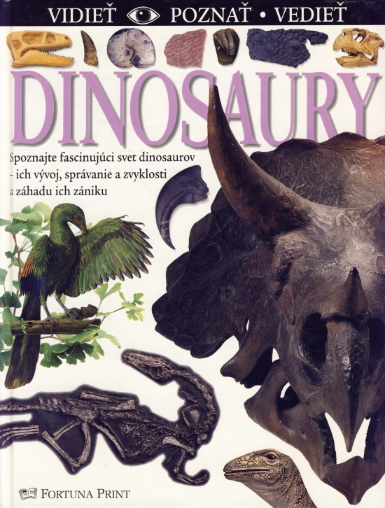 Obrázok Dinosaury - vidieť, poznať, vedieť