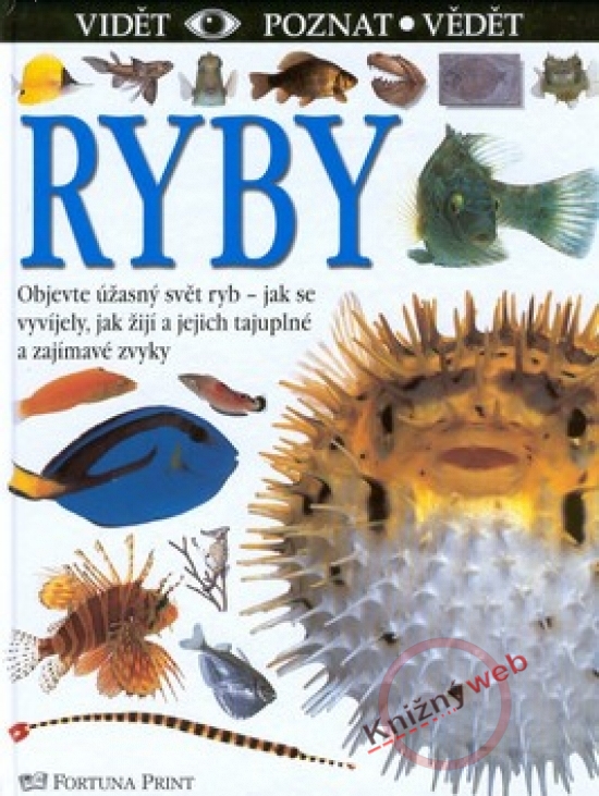 Obrázok Ryby - vidieť, poznať, vedieť