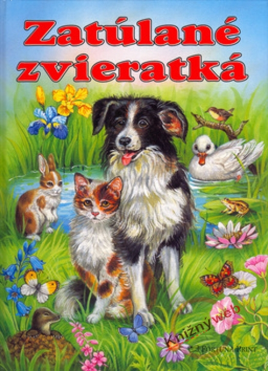 Obrázok Zatúlané zvieratká