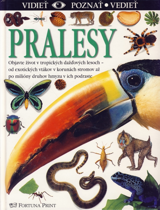 Obrázok Pralesy - vidieť, poznať, vedieť
