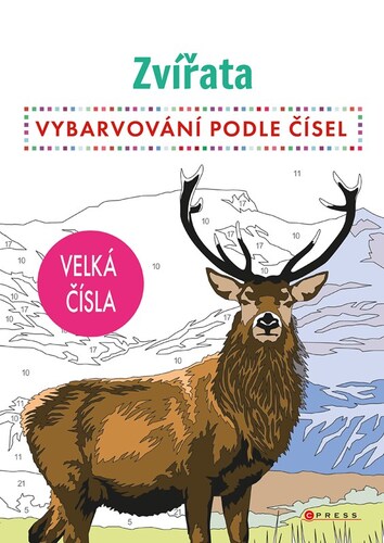 Obrázok Vybarvování podle čísel 