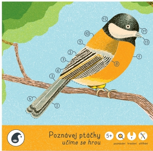 Obrázok Poznávej ptáčky - učíme se hrou