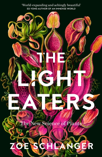 Obrázok The Light Eaters
