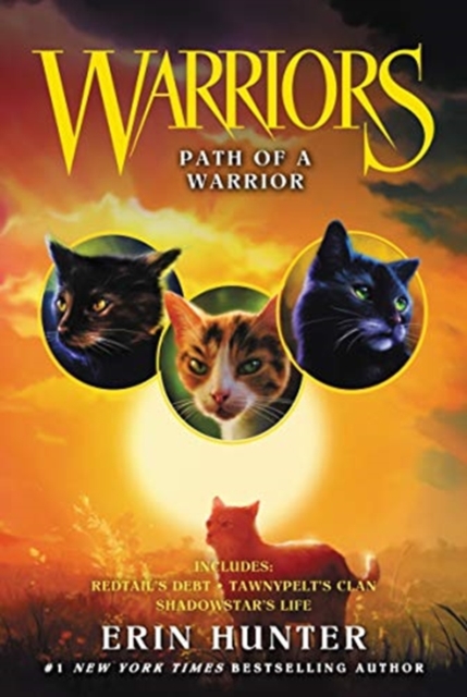 Obrázok Warriors: Path of a Warrior