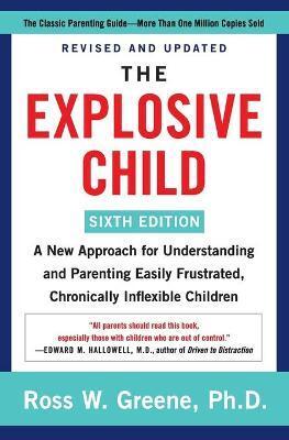 Obrázok The Explosive Child