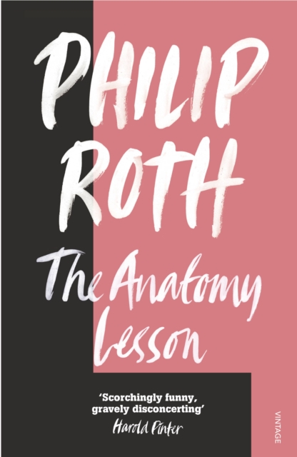 Obrázok The Anatomy Lesson