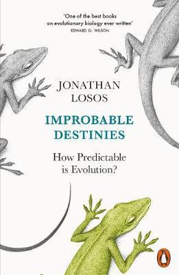 Obrázok Improbable Destinies