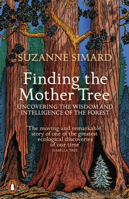 Obrázok Finding the Mother Tree