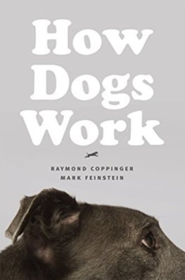 Obrázok How Dogs Work