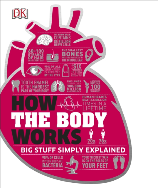 Obrázok How the Body Works