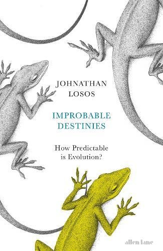 Obrázok Improbable Destinies