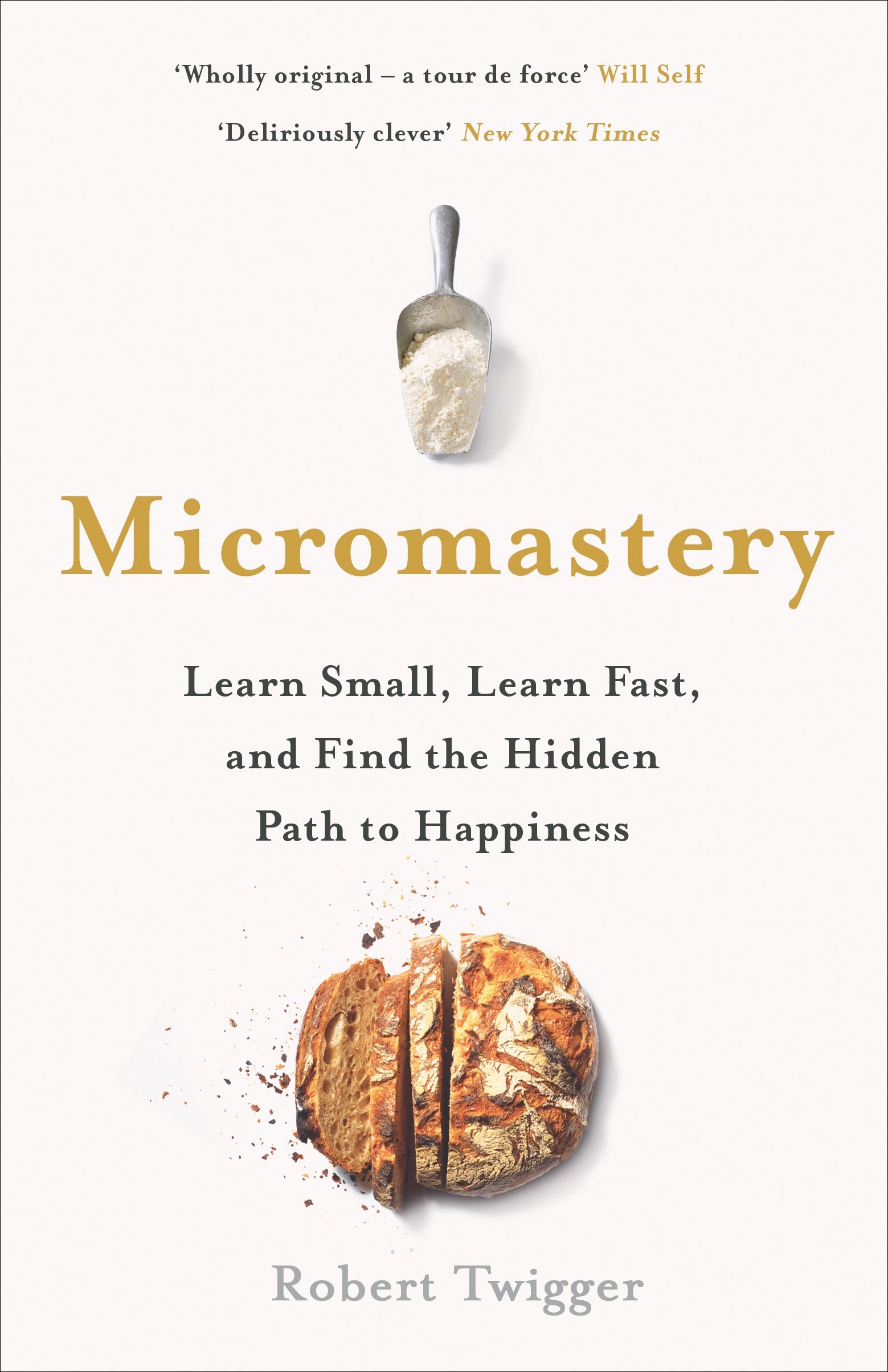 Obrázok Micromastery: The Hidden Path to Success