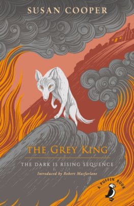 Obrázok The Grey King