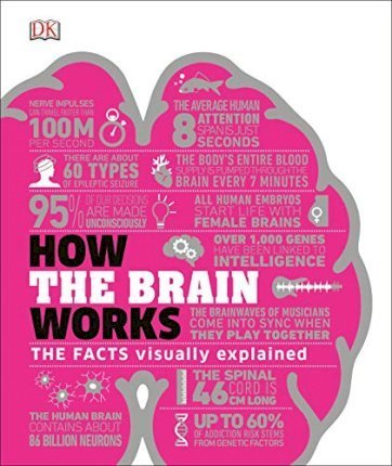 Obrázok How the Brain Works