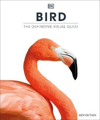 Obrázok Bird