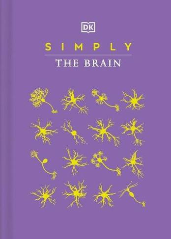 Obrázok Simply The Brain
