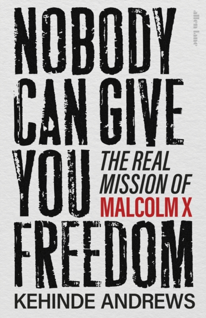 Obrázok Nobody Can Give You Freedom