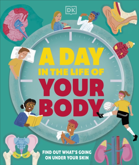 Obrázok A Day in the Life of Your Body
